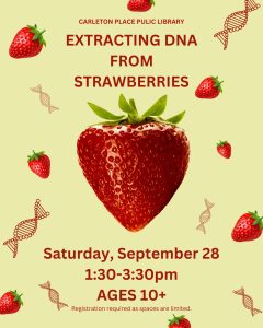 Extracting DNA from Strawberries STEM program